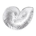 Mariposa Nautilus Shell Platter