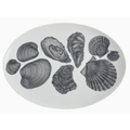 Shellfish Server