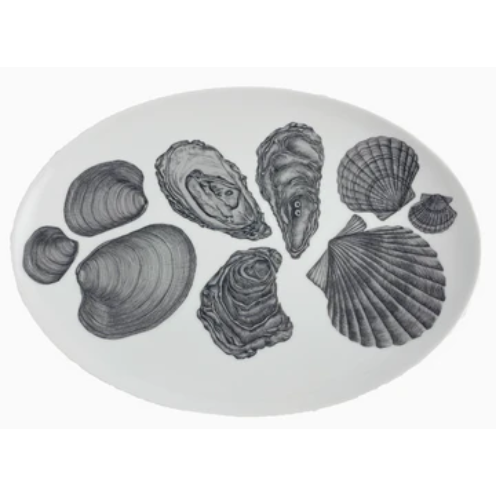 Shellfish Server