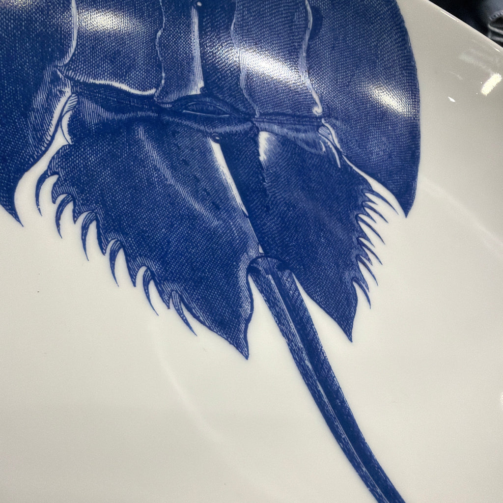 Caskata  Horseshoe Crab Entree Bowl
