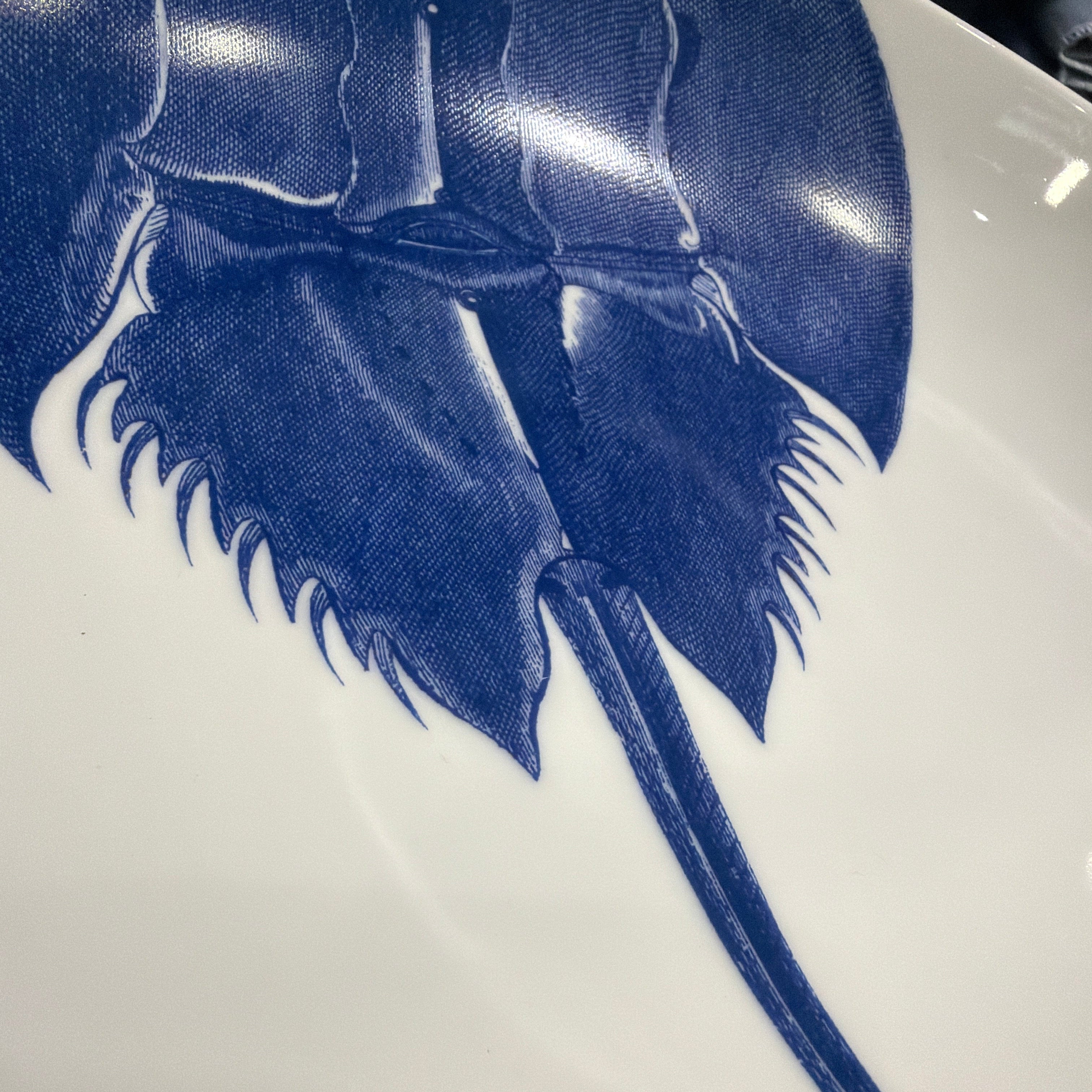 Caskata  Horseshoe Crab Entree Bowl