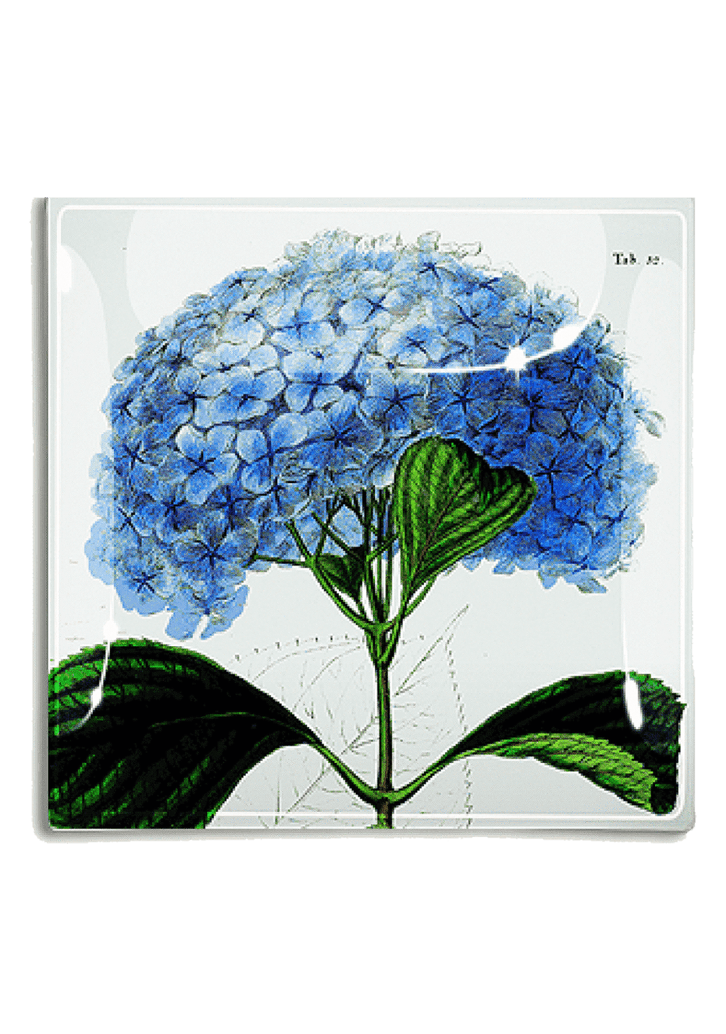 Blue Hydrangea Decoupage Glass Tray