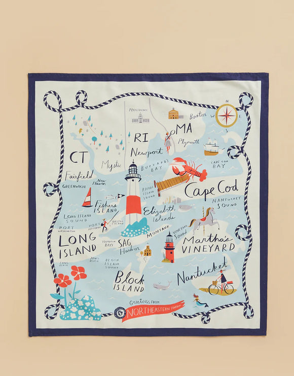 Spartina Dishtowel NE Harbour
