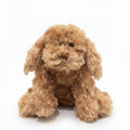 Bukowski Bears Buddy