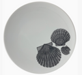 Scallop Plate