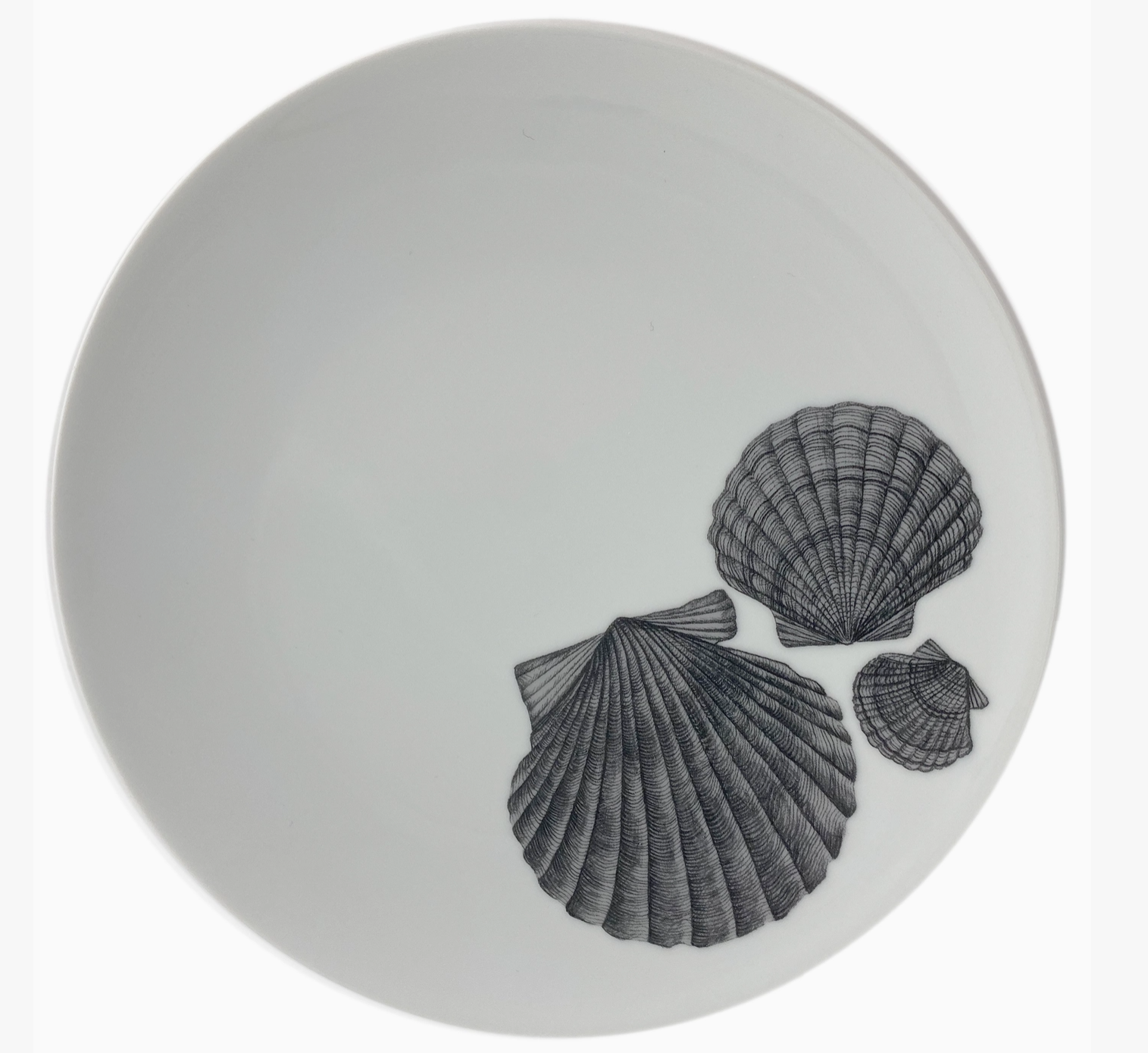 Scallop Plate
