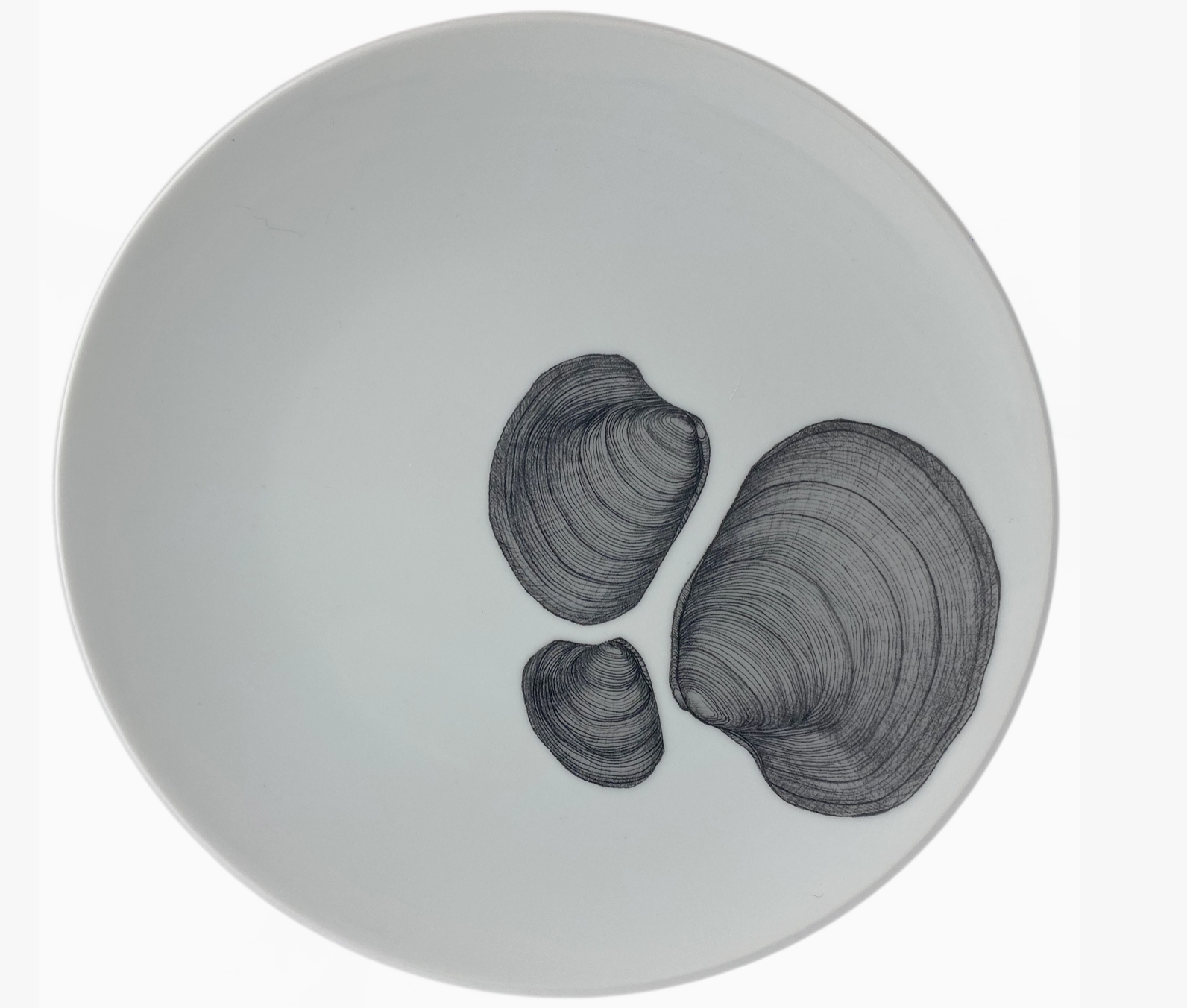 Hand Sketched Clam Plate