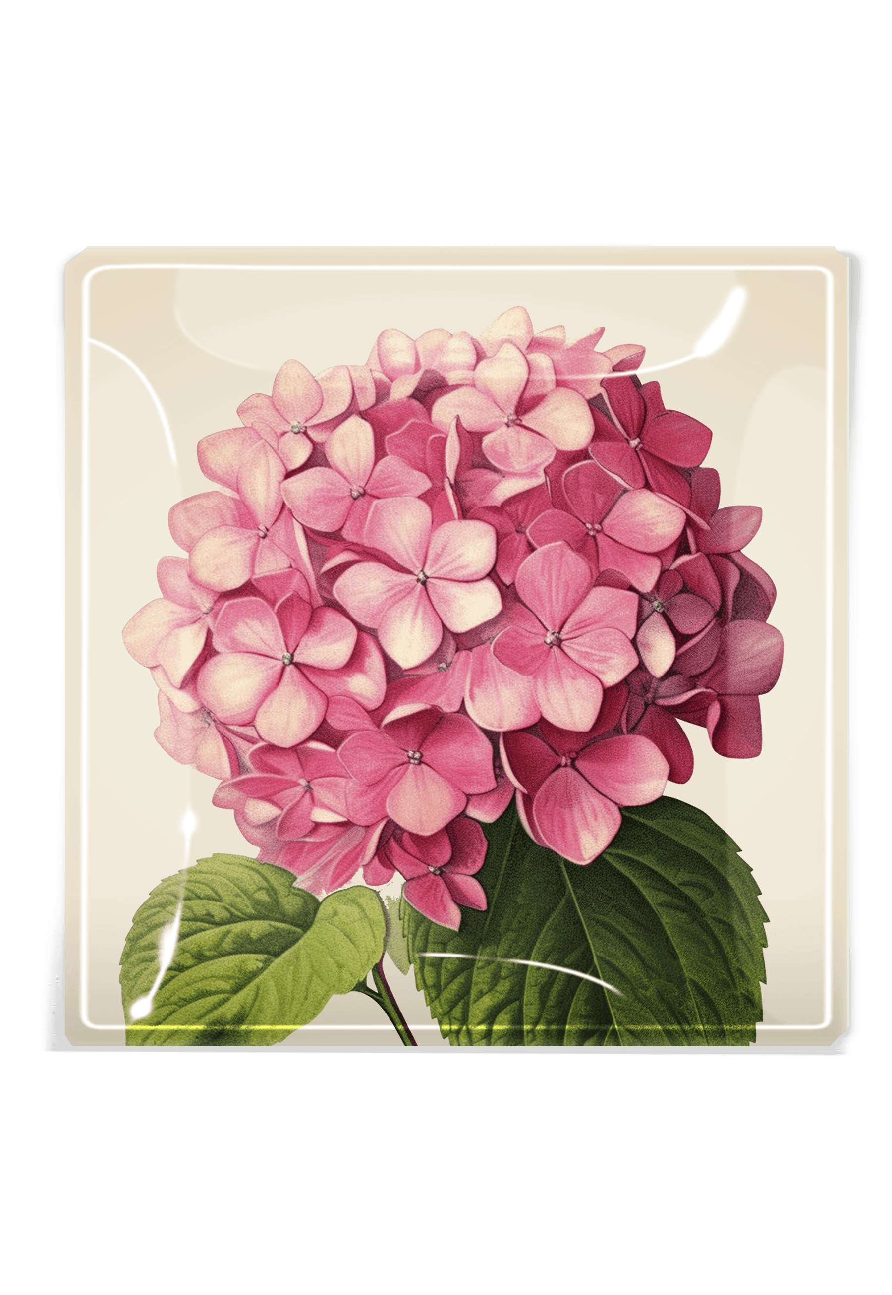 Ben's Garden - Pink Hydrangea Decoupage Glass Tray