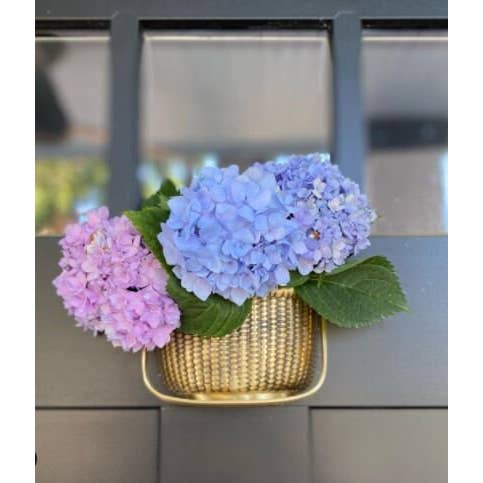 Michael Healy Designs Nantucket Basket Door Knocker