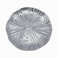 Mariposa Sea Urchin Platter