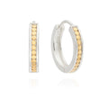 #332 Anna Beck classic small hinge hoop  ER