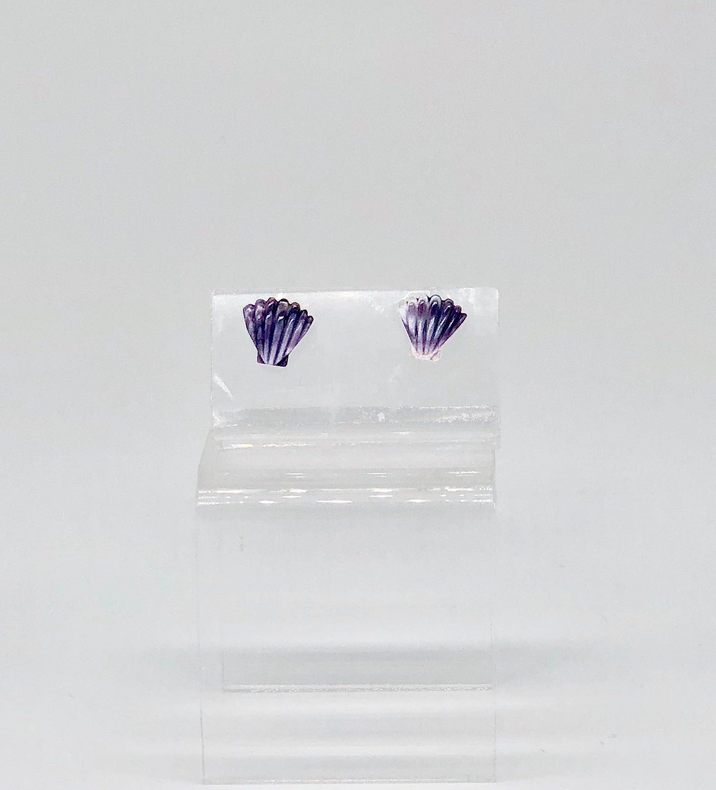 Barn Co Scallop Shell Studs