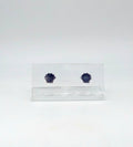 Barn Co Scallop Shell Studs