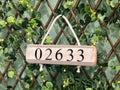 On Cape Time "02633" Rope Sign