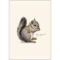 ES&W Boxed Cards Gray Squirrel