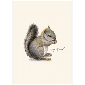 ES&W Boxed Cards Gray Squirrel
