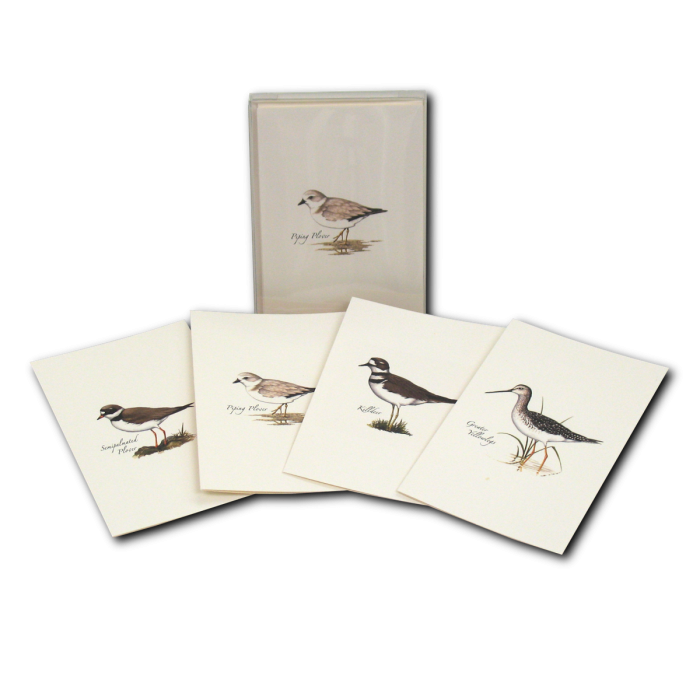 ES&W Boxed Cards Shorebird Assortment