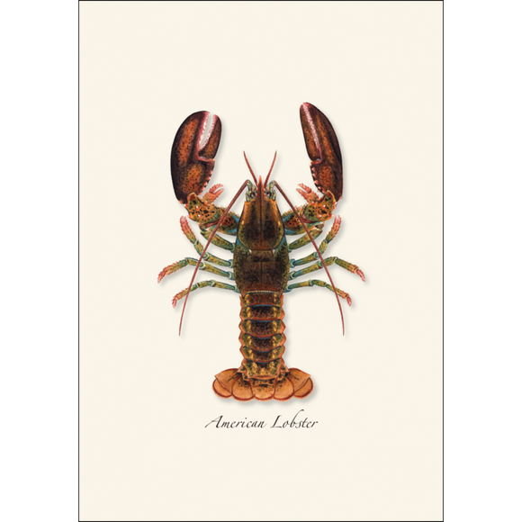 ES&W Boxed Cards Lobster, American