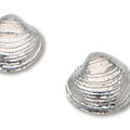 D'Amico Sterling Silver Quahog Post Earrings