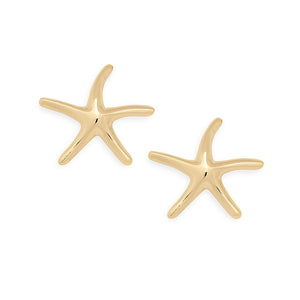 D'Amico 14K Gold Starfish Post Earrings