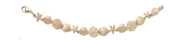 D'Amico Small 14K Gold Mixed Shell Link Bracelet