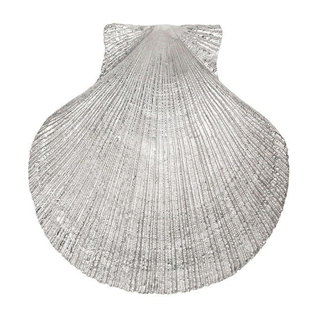 D'Amico Sterling Silver Scallop Pendant with hidden bale