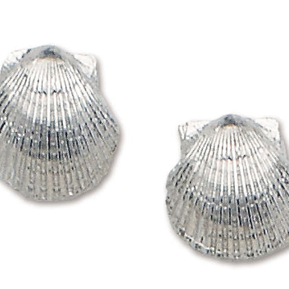 D'Amico Large Sterling Silver Scallop Post Earrings
