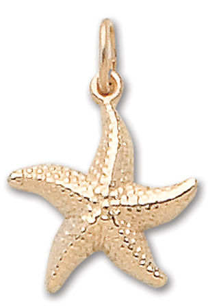 D'Amico 14K Gold Starfish Charm
