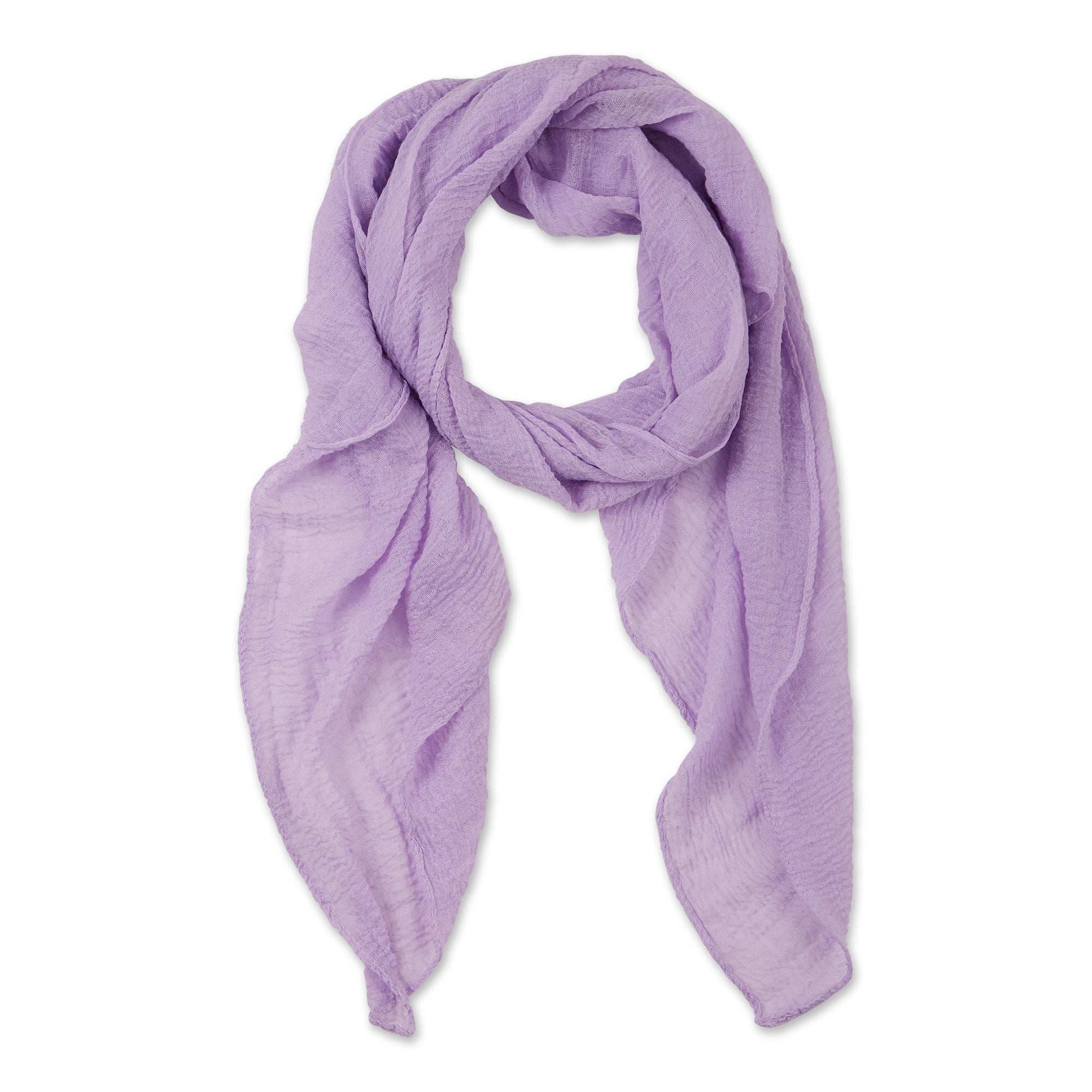Hadley Wren Insect Scarf