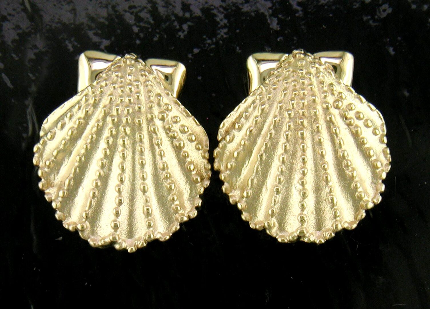 Steven Douglas Gold Scallop Shell Earrings